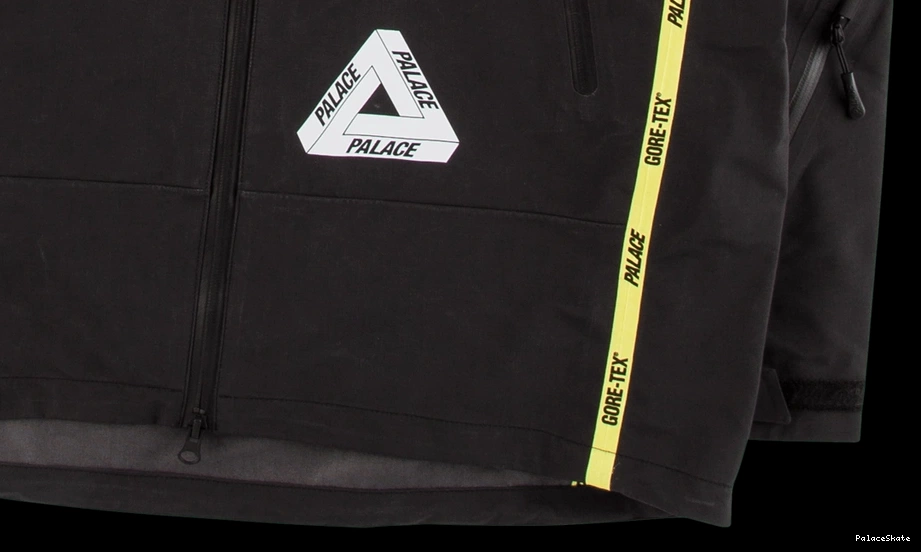 Palace Palex Gore-Tex Jacket 0823